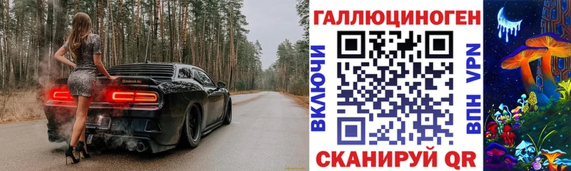 Галлюциногенные грибы Psilocybe  Купить  Белоозёрский 